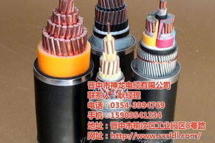 低壓電力電纜 陽(yáng)泉電纜 神龍電纜